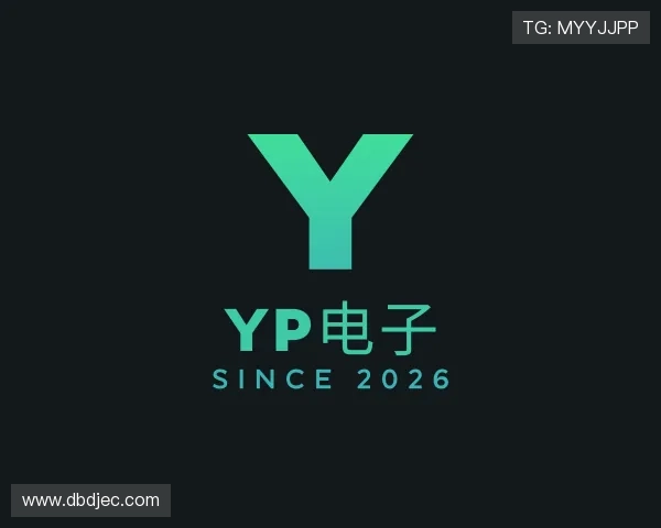 发现YP电子